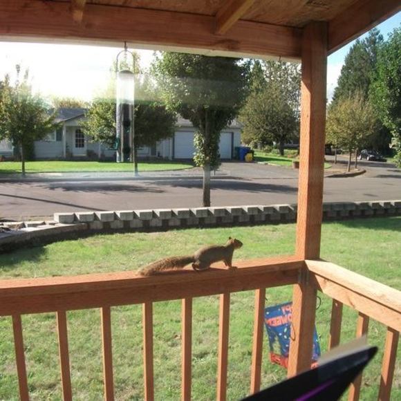 Meet your Posher, Mary - Picture 1 of 1